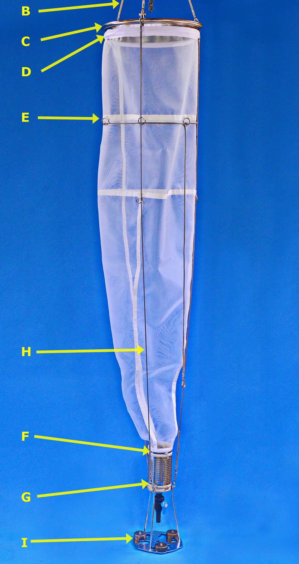 Imgi 17 23.100 Wp 2 Net F Txt 1000 1884