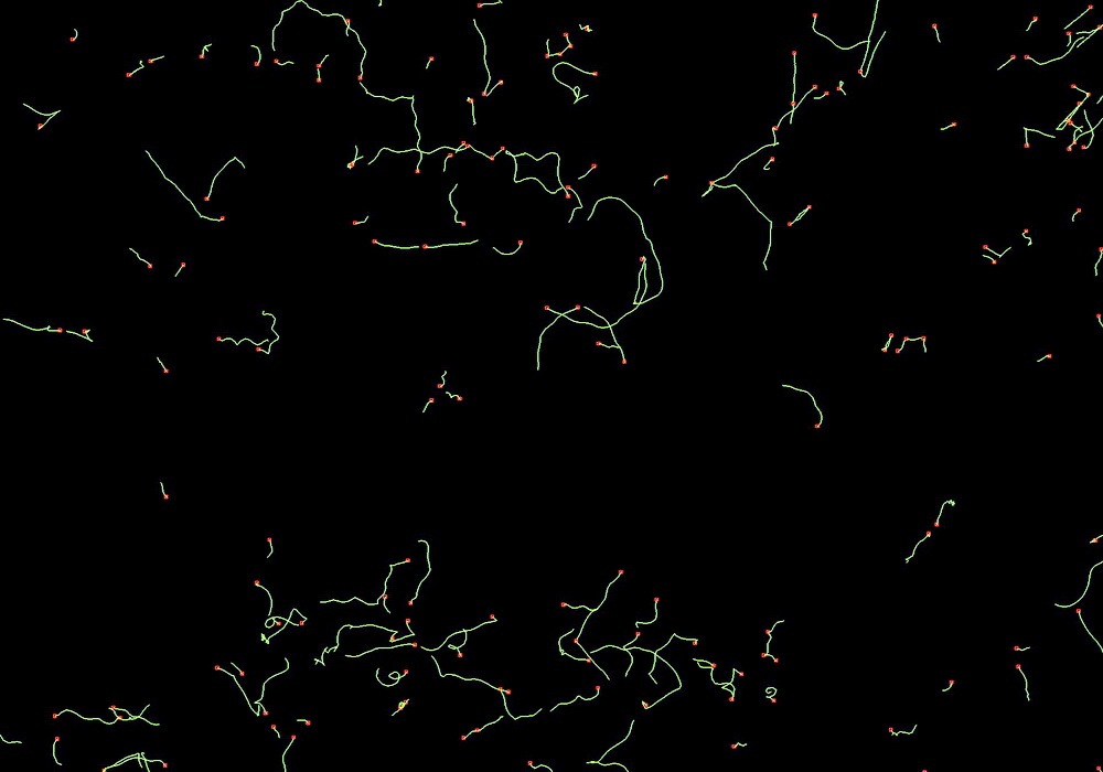 Imgi 27 Tracks 1000 700 Fa 1